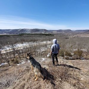 Meet your Posher, Gavin